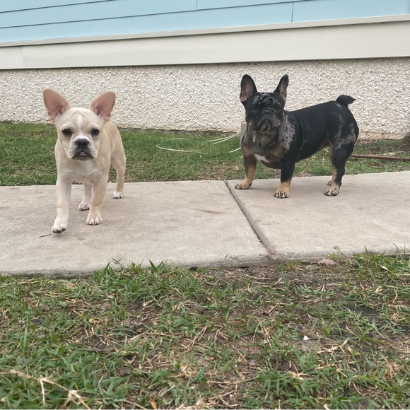 Meet your Posher, Fergie - Picture 3 of 3